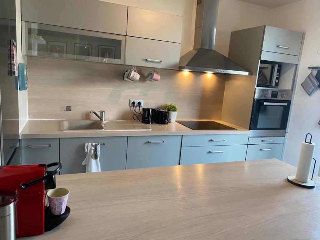Appartement 80M2, Terrasse Sud, Metro 7 Direction Louvre A 8Minutes, Parking Sous-Sol, Proche Paris-Bercy Ιβρύ-συρ-Σεν Εξωτερικό φωτογραφία